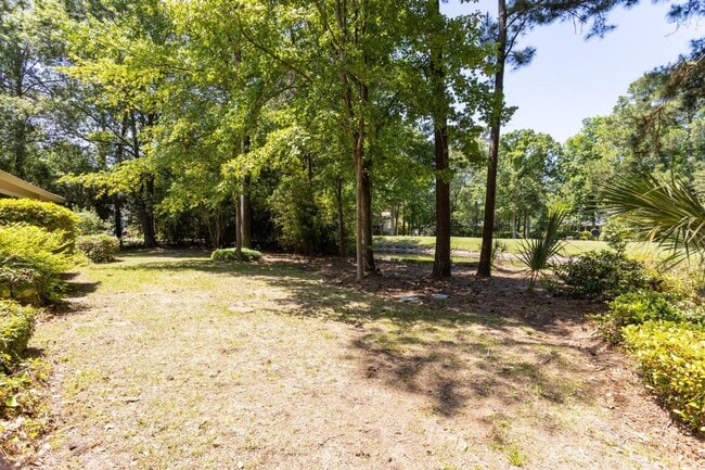 Building Photo - 3 Bedroom 2 Bath House in Snee Farm - Moun...