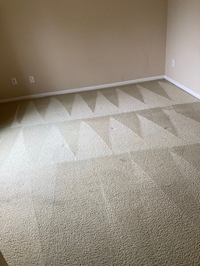 Large room for Rent with freshly cleaned carpet - 250 S Estes Dr