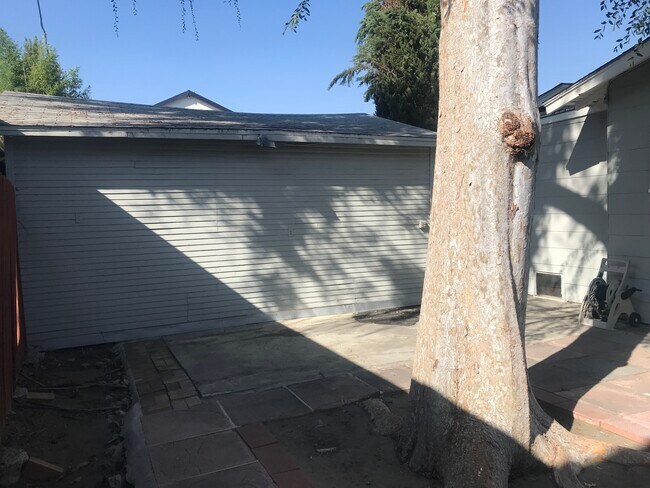 Back yard / area - 5225 Wilkinson Ave
