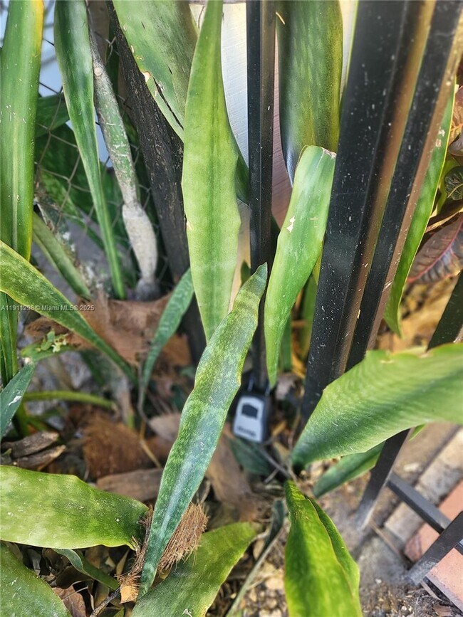 Foto del edificio - 3680 NW 20th Ct