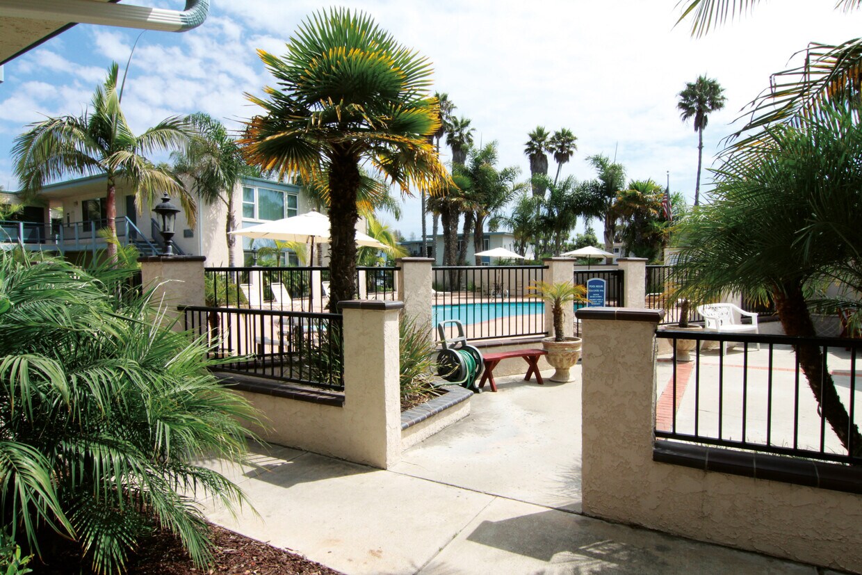Pool - 4860 Sandyland Rd