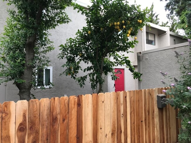 Building Photo - 3 bedroom in Stonegate available for Septe...