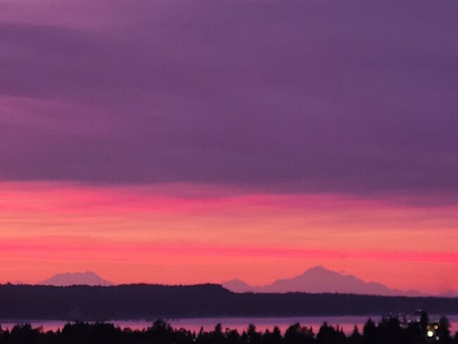 Interior Photo - McKinley Tower Apartments