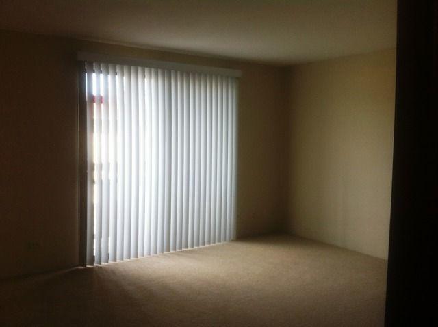 Building Photo - 921 Shattuck Ln