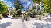 Located at 336 Santana Row in San Jose, California, this outdoor courtyard space offers a carefully curated blend of urban design and natural landscaping. The ground-level space features expansive stone-tiled pathways that guide visitors through a richly planted environment, surrounded by the modern multi-story buildings of the Santana Row district.

The courtyard is defined by its generous raised stone planters, filled with a diverse mix of mature trees — including olive trees, Japanese maples, and bamboo — alongside ornamental grasses and flowering shrubs that provide year-round visual interest. Large decorative concrete urns punctuate the open paved areas, adding structure and depth to the landscape design.

A central gathering area includes a shaded pergola and outdoor seating, making the space functional for relaxation and social interaction. Warm redwood horizontal-slat fencing and gates introduce natural texture throughout, complementing the contemporary architectural palette of grey, white, and bold red accent facades visible in the surrounding buildings.

Integrated pathway lighting embedded within the planter walls ensures the space remains inviting after dark. Open to the California sky, the courtyard benefits from abundant natural sunlight, creating a bright, welcoming atmosphere that serves as a green oasis within the dynamic Santana Row urban environment.
