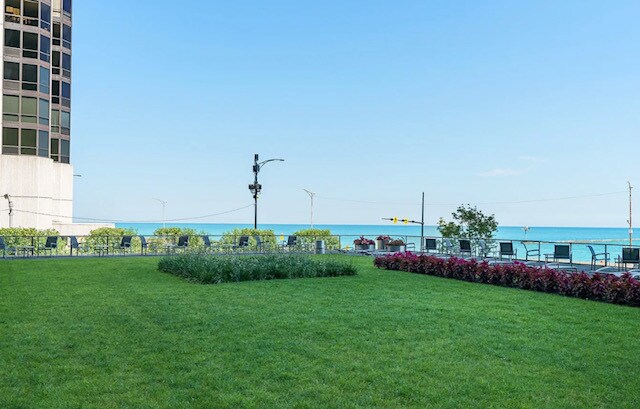 Foto del edificio - 900 N Lake Shore Dr