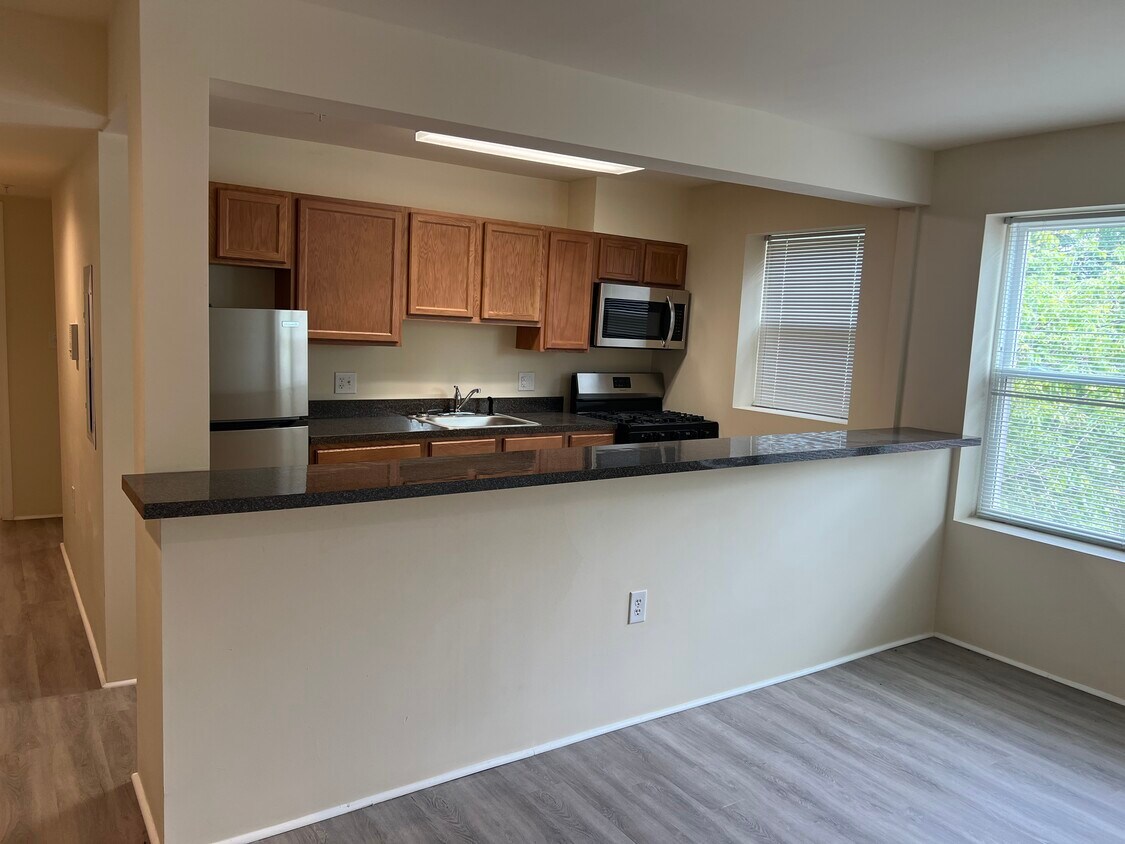 Kitchen - 22 Atlantic St SE
