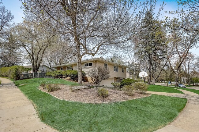 Building Photo - Charming Bi-Level Home in Sunset Village -...
