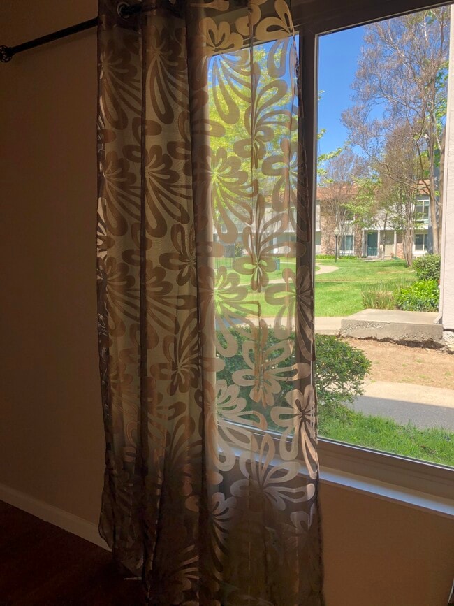 View from Living room - 3555 Northwood Dr