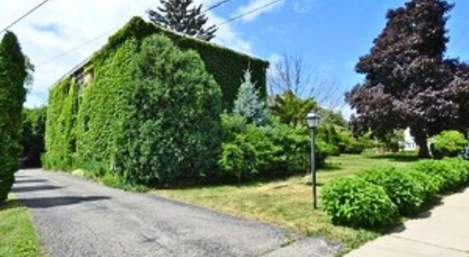 Primary Photo - 91 W Crystal Lake Ave