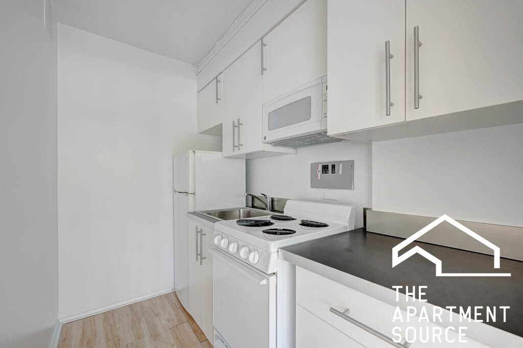 350 Oakdale Unit 704, Chicago, IL 60657 Condo for Rent in Chicago, IL