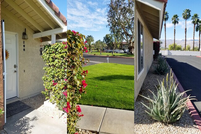 out front and side - 266 Tava Ln