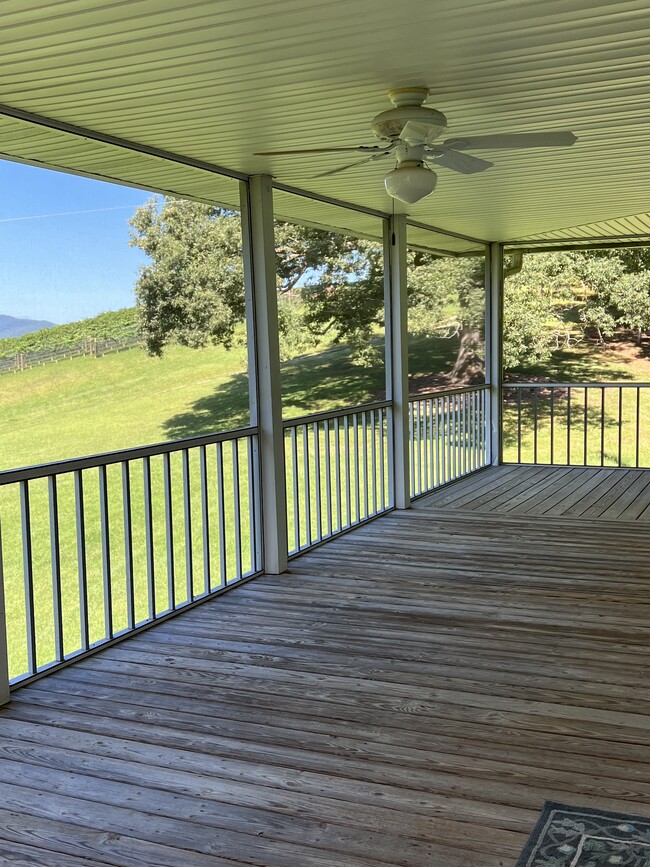 Vineyard view from wrap-around porch - 571 Big Sky Rd