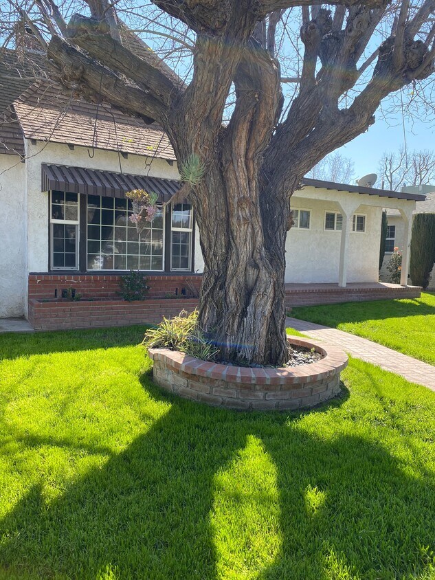 58 Houses for Rent in Burbank, CA Westside Rentals
