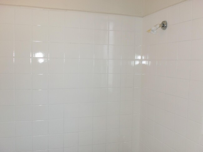 Shower Wall - 17433 Vanowen St