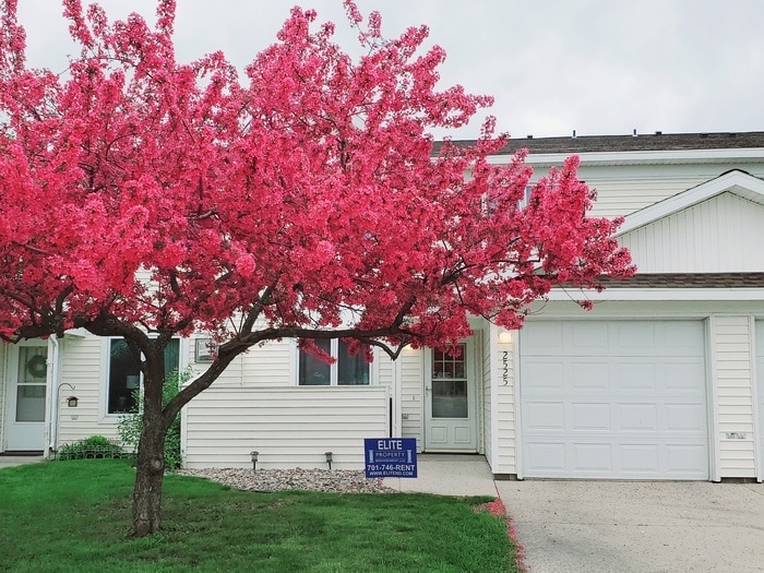Primary Photo - Meadowbrook Townhomes