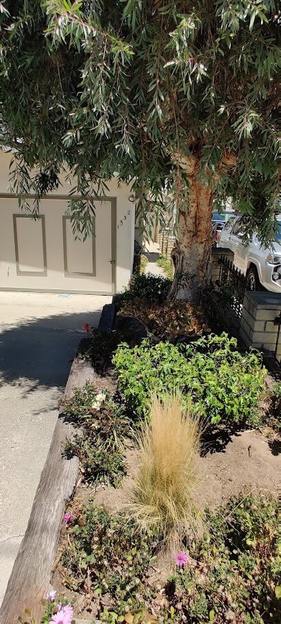 Foto del edificio - 1532 Stanford Ave