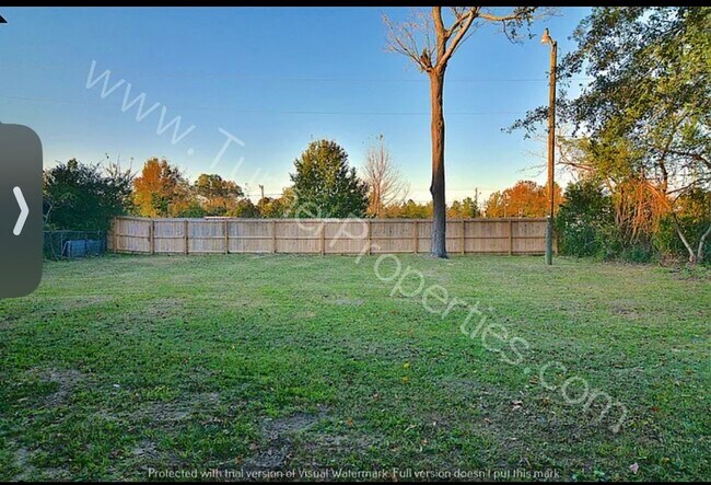 backyard - 124 Tyler Rd