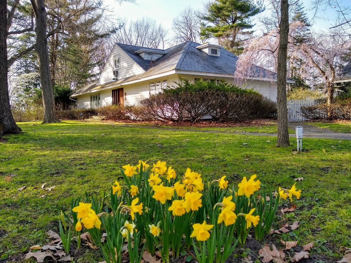 Primary Photo - 6 Brightford Heights Rd