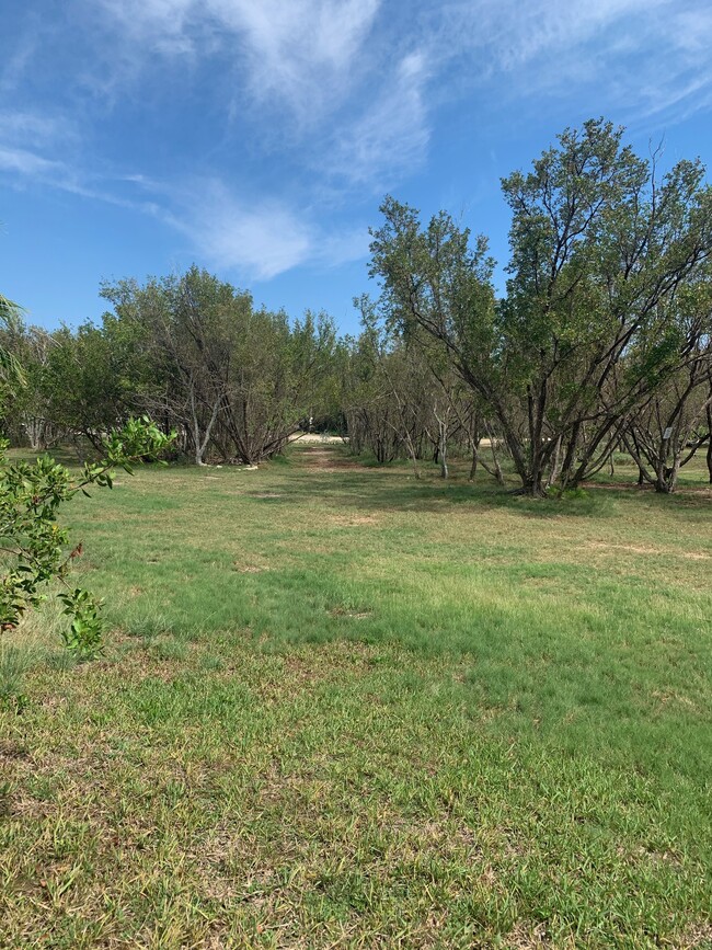 Park setting - 24870 Park Dr
