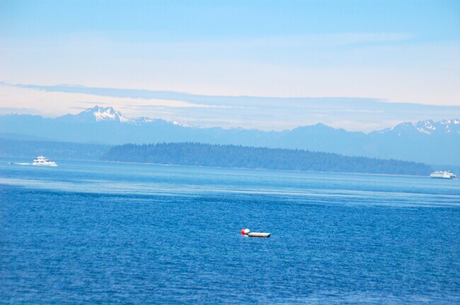 Building Photo - West Seattle Waterfront Condominium ~ West Beach Condominium