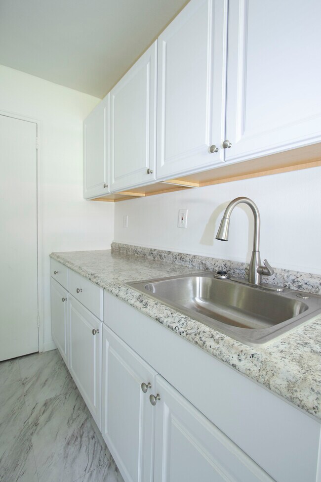 Cocina recientemente renovada con electrodomésticos de acero inoxidable. - High Park Terrace