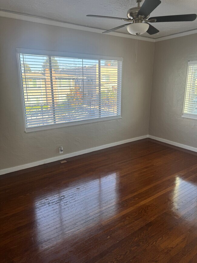 Foto del edificio - 245 Myrtle Rd