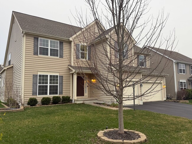 Building Photo - 4143 Freesia Dr