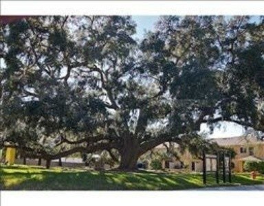 Foto del edificio - 5309 Aloha Seed Dr