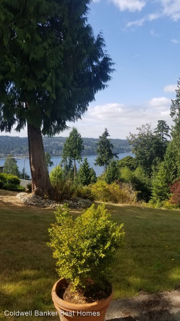 Foto del edificio - 3 br, 3.5 bath House - 1215 E Ludlow Ridge Rd