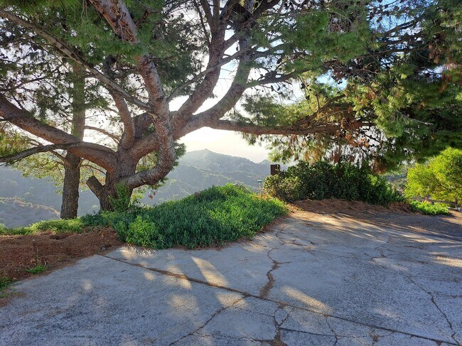 Foto del edificio - 30592 Hunky Dory Ln