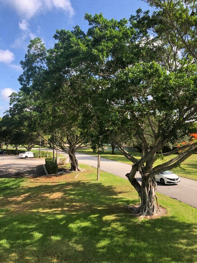 Foto principal - 301 Olivewood Pl