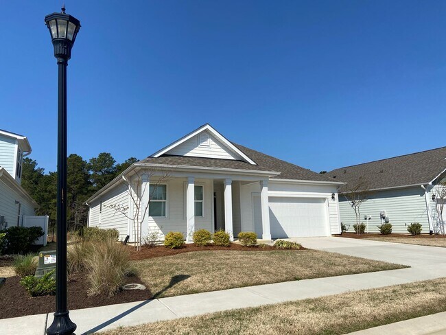 Foto del edificio - Brand new construction home in the desirable Brunswick Forest subdivision