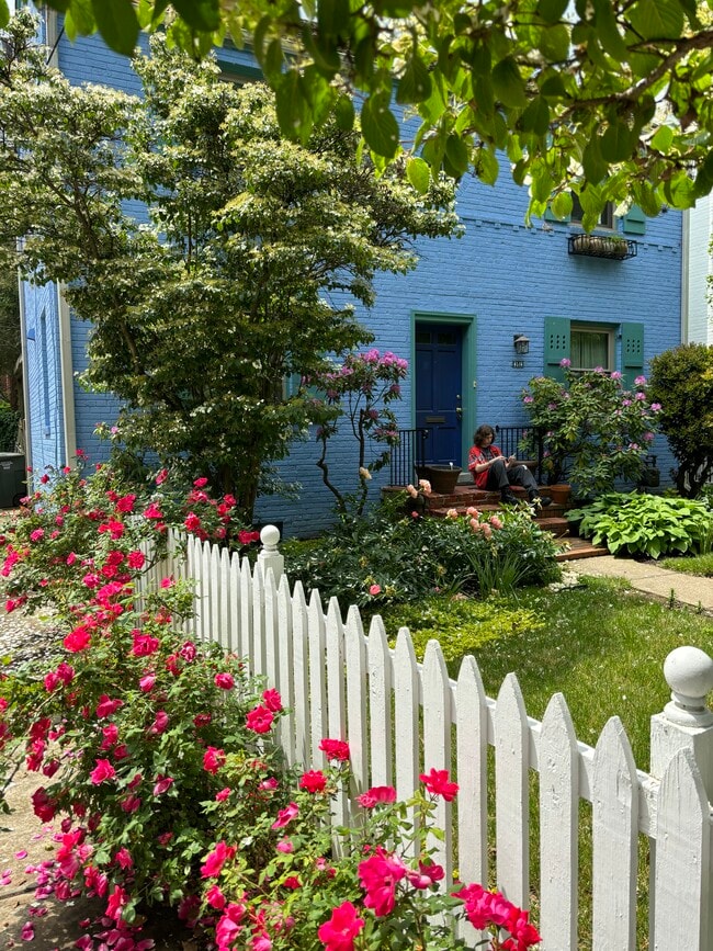 desde la calle - 4514 Albemarle St NW