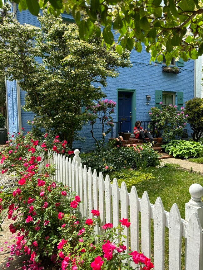 from the street - 4514 Albemarle St NW