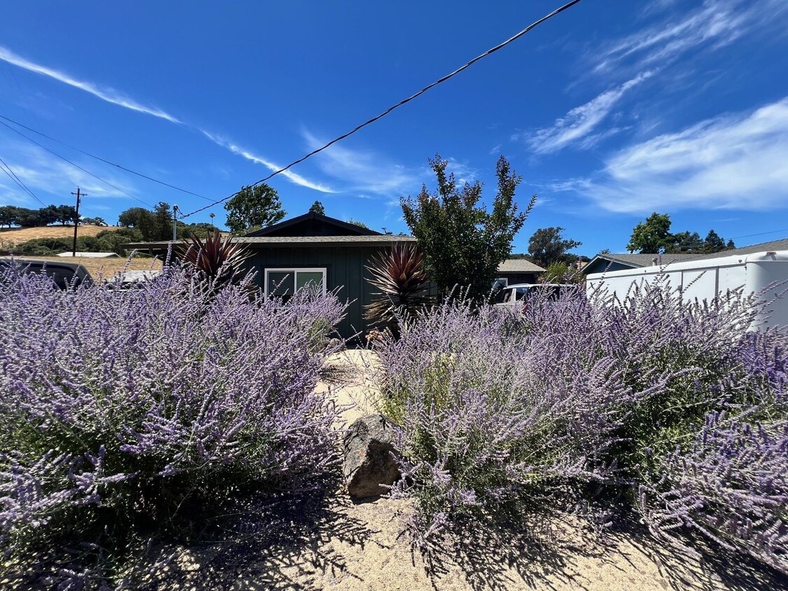 Primary Photo - COMING SOON - Beautifully Renovated Napa H...