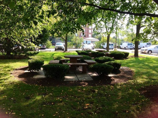 Picnic area - 9009 Golf Rd