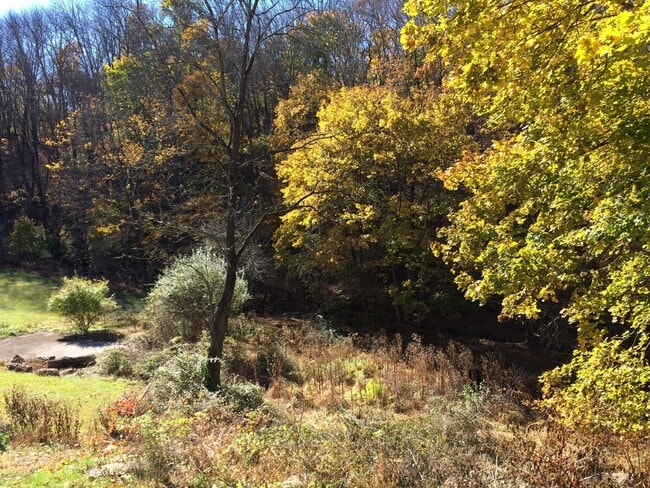 Building Photo - AVAILABLE NOW! Economical home with wood floors, Palisades Schools, laundry, gas heat