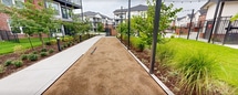 Located at 14100 John Henry Faulk Drive in Pflugerville, Texas, this thoughtfully designed outdoor amenity space serves as a central gathering area within a modern multi-story residential community. The grounds feature a dedicated bocce ball court with a decomposed granite playing surface, bordered by concrete walkways that guide residents through the well-manicured landscape. Lush planting beds line the pathways, showcasing ornamental grasses, young shade trees, and low-growing shrubs set against a rich mulch base, creating a layered and visually dynamic environment. Sleek, dark metal bollard lighting is positioned throughout the space, ensuring usability during evening hours. Overhead string lights are strung between tall steel posts in select areas, adding a warm, inviting ambiance. Black metal fencing defines the perimeter, complementing the contemporary aesthetic of the surrounding buildings, which feature a mix of brick and board-and-batten exterior finishes with balconied upper floors. Open lawn areas provide additional flexible outdoor space, while the interconnected concrete walkway system ensures easy pedestrian access across the entire amenity area. The overall design balances active recreational use with relaxed, park-like surroundings.