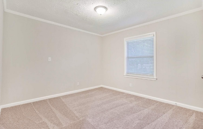 Building Photo - 2393 Ousley Ct