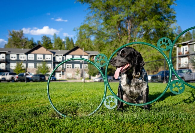 A happy resident - The Highline Apartments