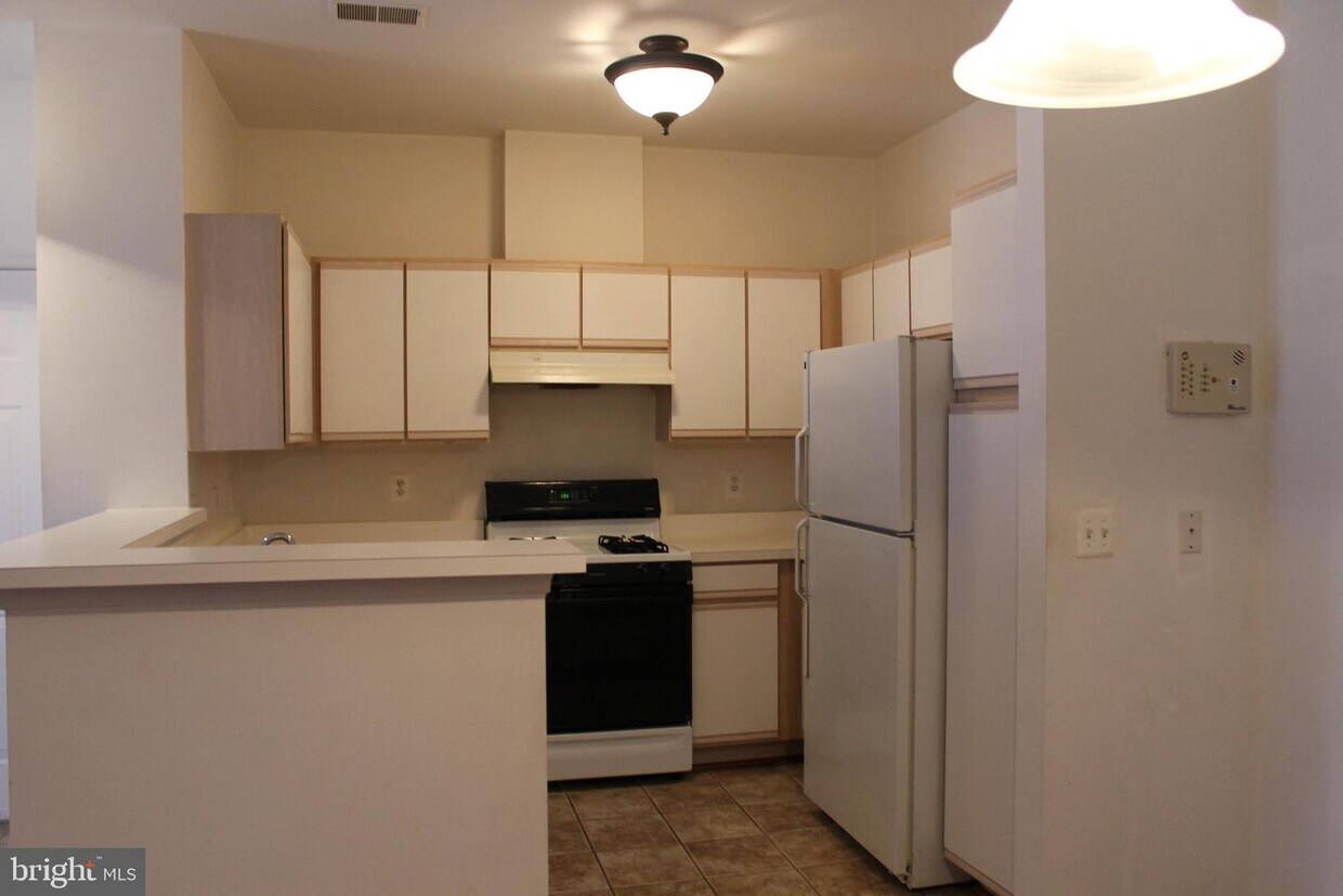 Primary Photo - 3515 Piney Woods Pl