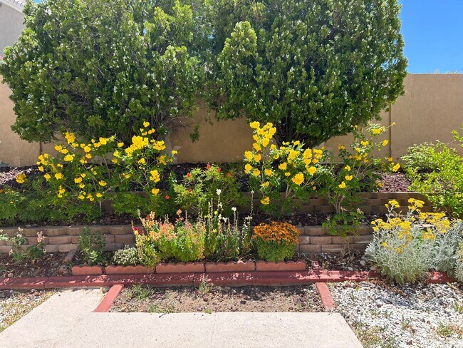 Foto del edificio - Single story home at Desert Shores