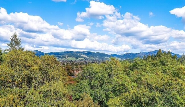 Foto del edificio - Beautiful Montecito Heights Home with Sola...