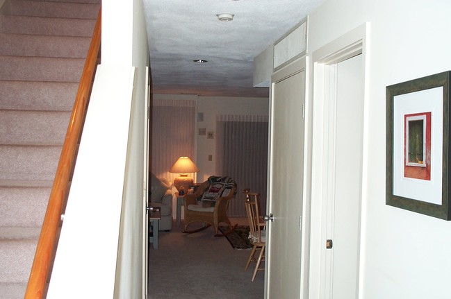 Hallway (interior) - 15 Baldwin St