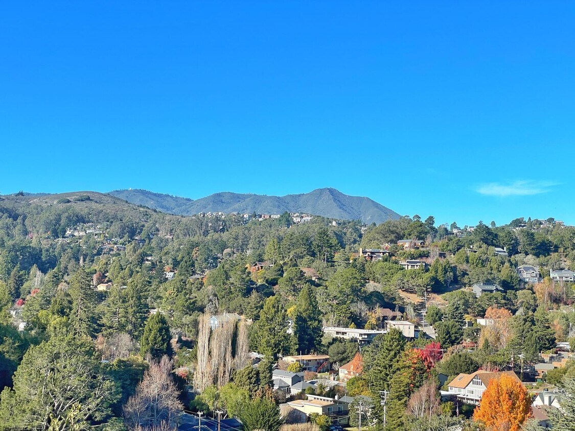 Primary Photo - 4 Bed/2 Bath House with Beautiful Mt. Tam ...