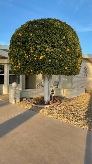 Foto del edificio - 10842 W Sequoia Dr