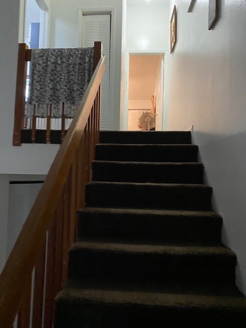 Foto del edificio - 1253 Winter Green Way