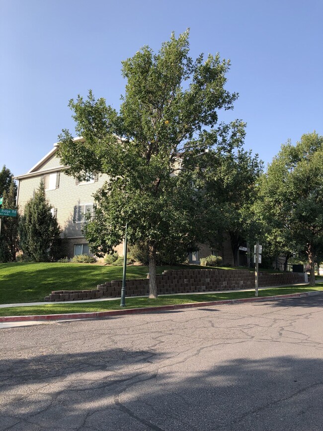 Foto del edificio - 3314 S Ridge Rd