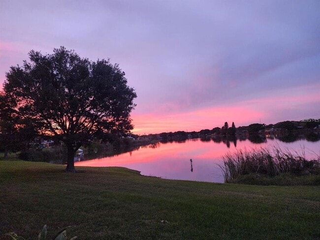 Building Photo - 8211 118th Ave N